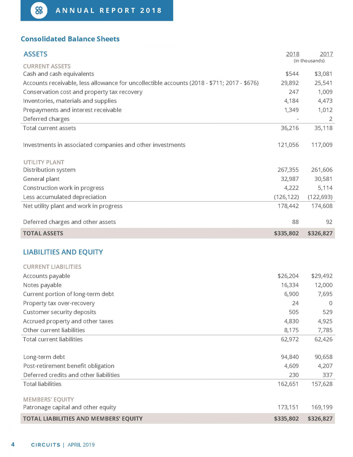 Consolidated Balance Sheets – Dakota Electric Association®