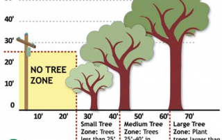 graphic of tree planting