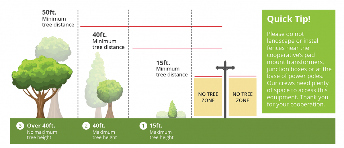 Planting Guidelines – Dakota Electric Association®